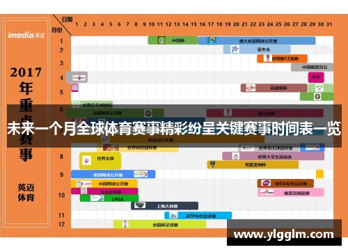 未来一个月全球体育赛事精彩纷呈关键赛事时间表一览